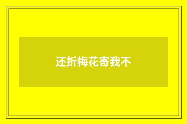 还折梅花寄我不