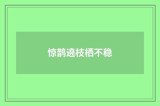 惊鹊遶枝栖不稳