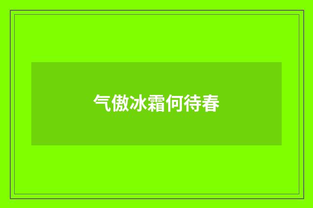 气傲冰霜何待春