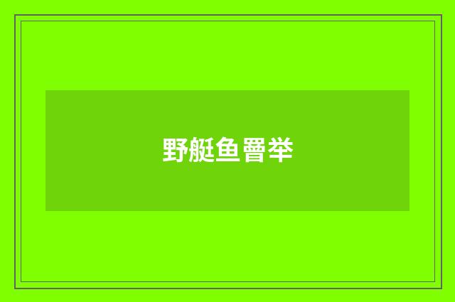 野艇鱼罾举