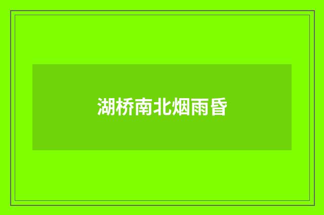 湖桥南北烟雨昏