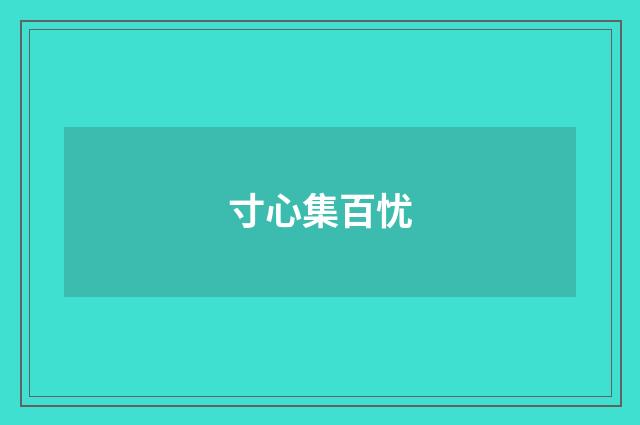 寸心集百忧