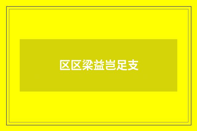 区区梁益岂足支