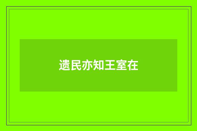 遗民亦知王室在
