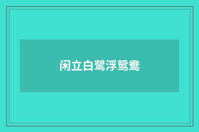 闲立白鹭浮鸳鸯