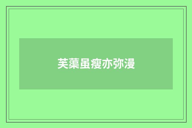 芙蕖虽瘦亦弥漫