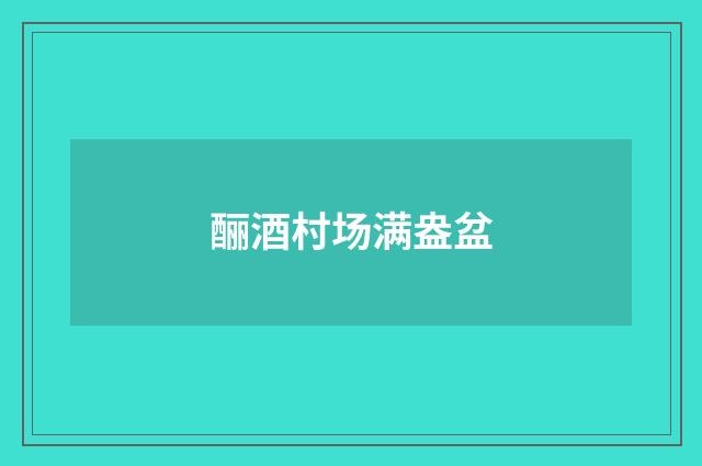 酾酒村场满盎盆