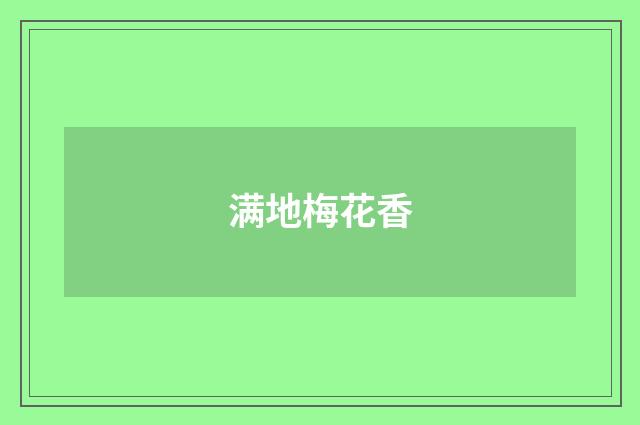 满地梅花香