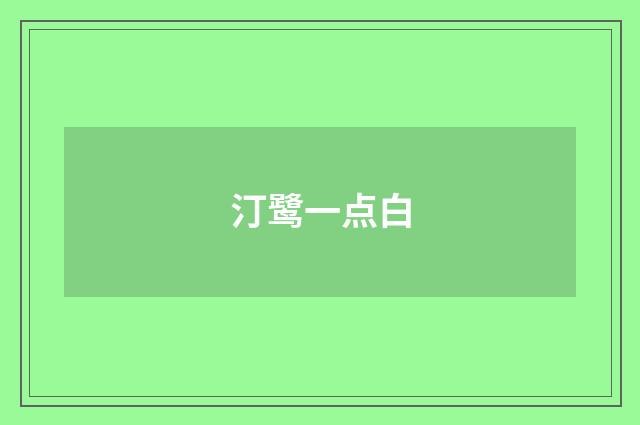 汀鹭一点白
