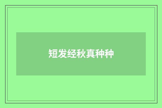 短发经秋真种种
