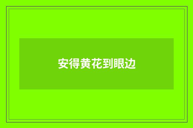 安得黄花到眼边