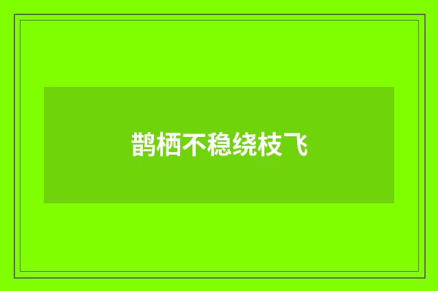 鹊栖不稳绕枝飞