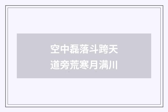 空中磊落斗跨天道旁荒寒月满川