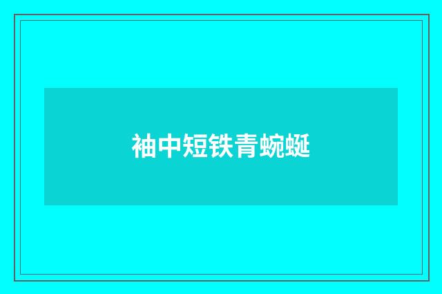 袖中短铁青蜿蜒