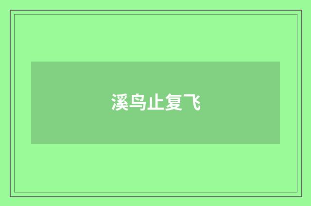 溪鸟止复飞