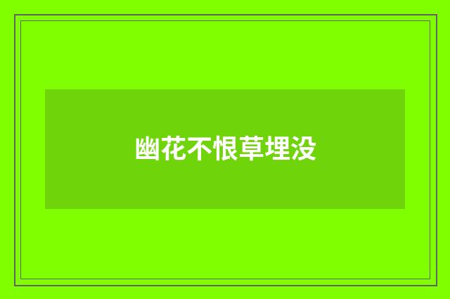 幽花不恨草埋没