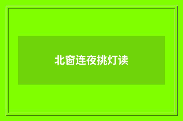北窗连夜挑灯读