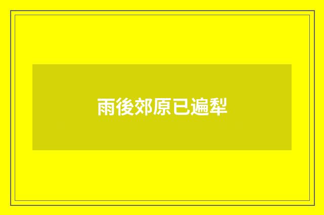 雨後郊原已遍犁