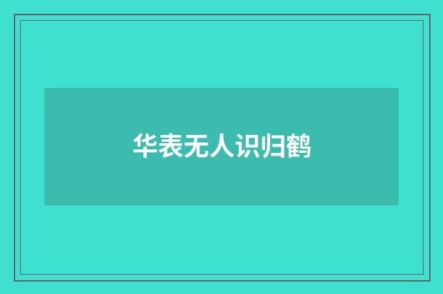 华表无人识归鹤