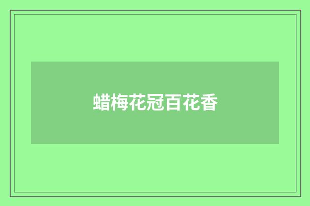 蜡梅花冠百花香