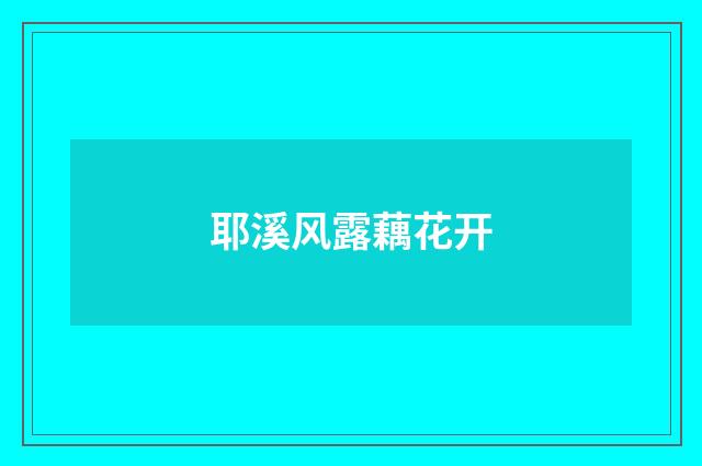耶溪风露藕花开