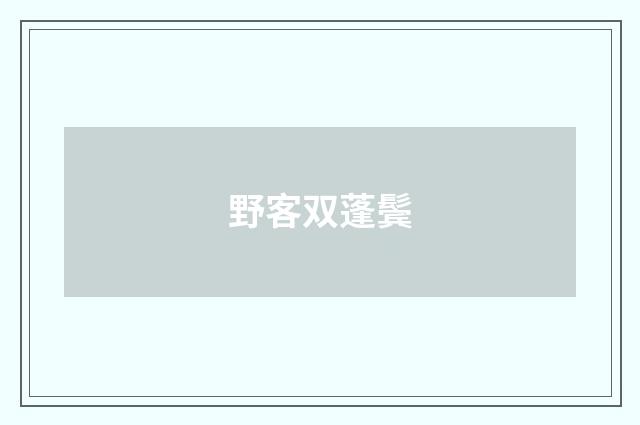 野客双蓬鬓
