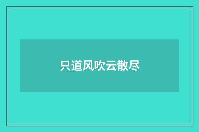 只道风吹云散尽