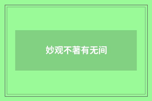 妙观不著有无间