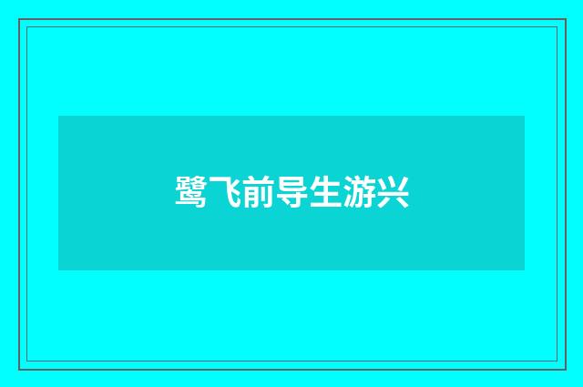 鹭飞前导生游兴