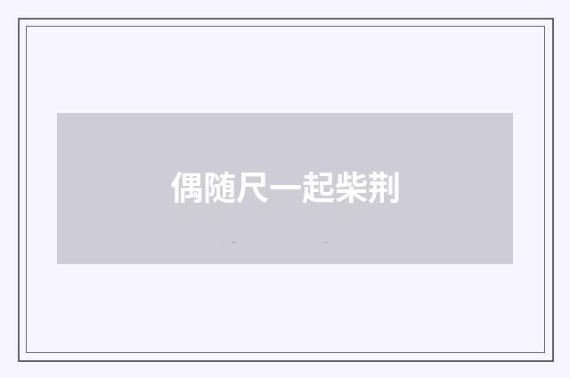 偶随尺一起柴荆