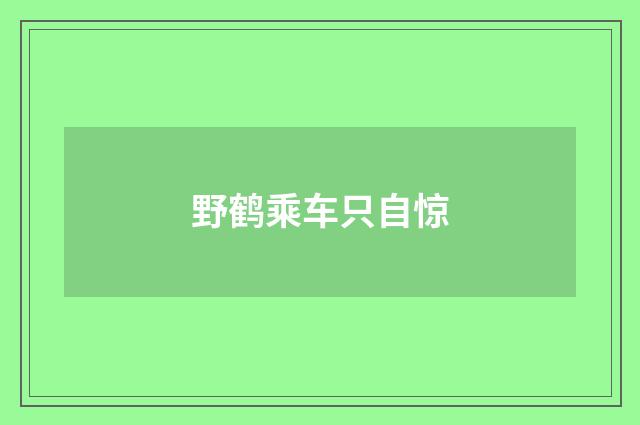 野鹤乘车只自惊