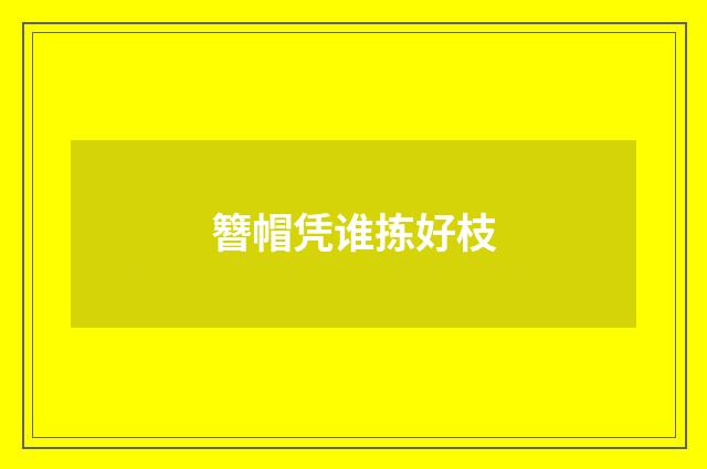 簪帽凭谁拣好枝