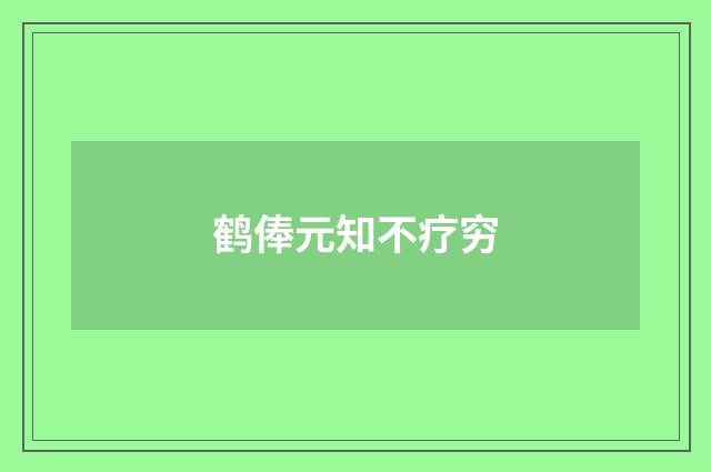 鹤俸元知不疗穷