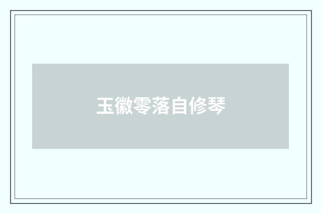 玉徽零落自修琴