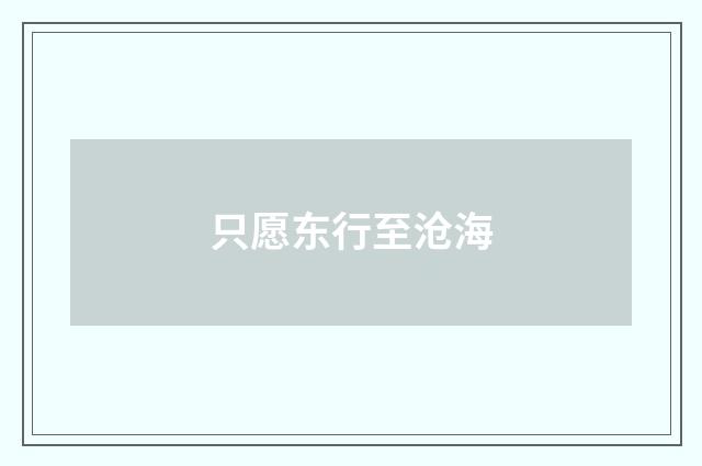 只愿东行至沧海