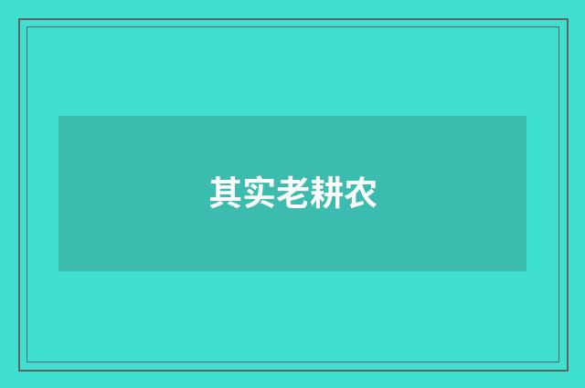 其实老耕农