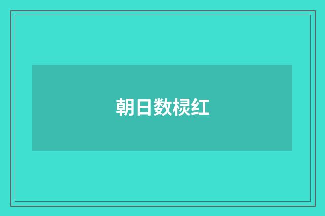 朝日数棂红