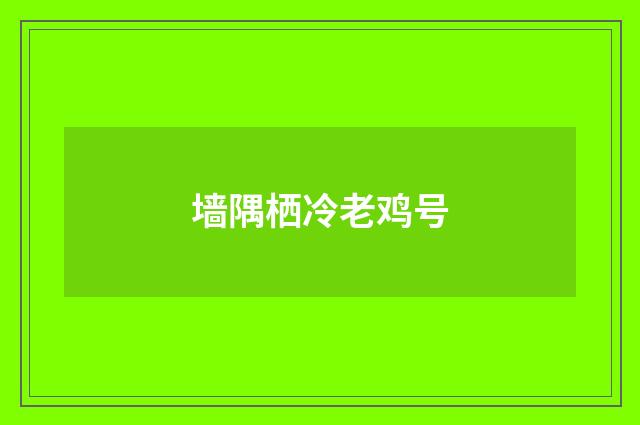 墙隅栖冷老鸡号