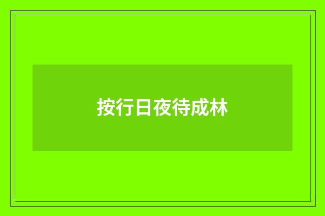 按行日夜待成林