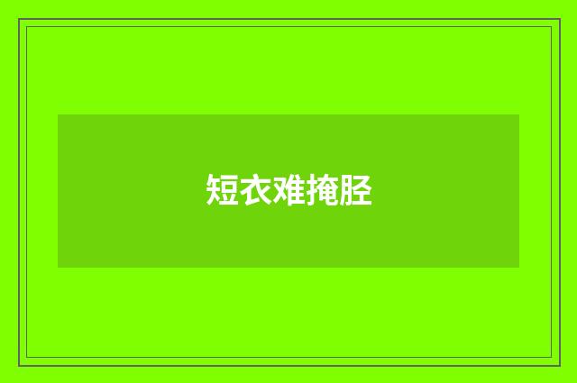 短衣难掩胫