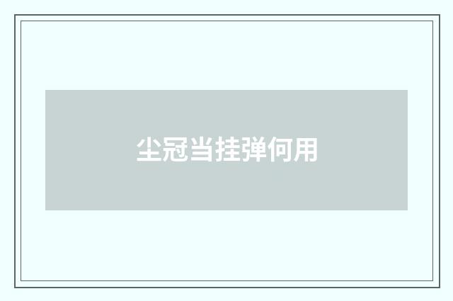 尘冠当挂弹何用