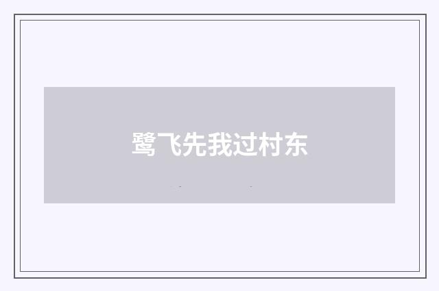 鹭飞先我过村东