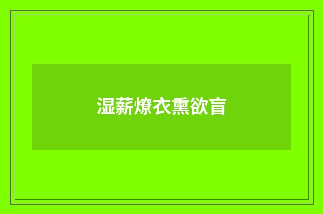 湿薪燎衣熏欲盲