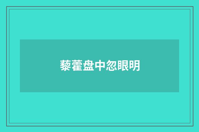 藜藿盘中忽眼明
