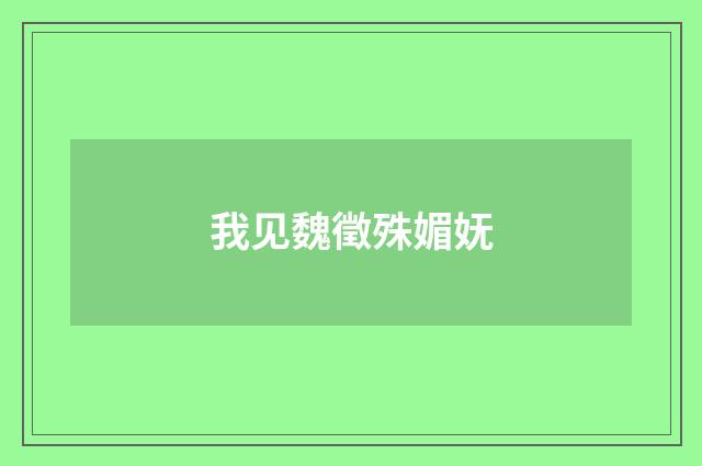 我见魏徵殊媚妩