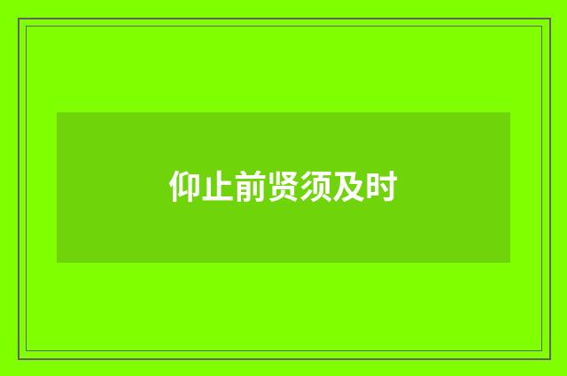 仰止前贤须及时