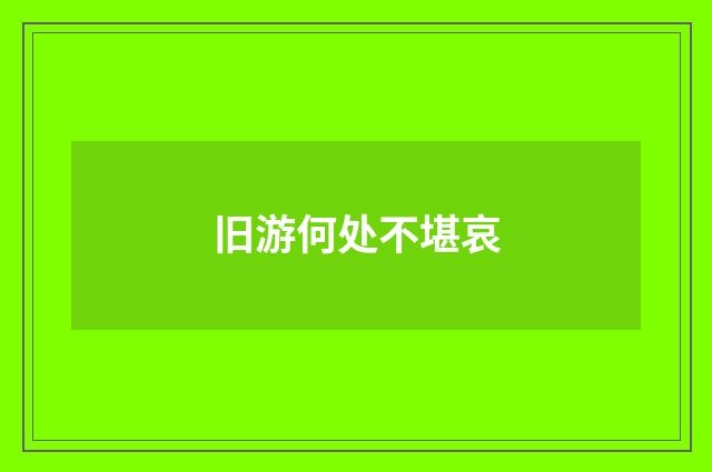 旧游何处不堪哀