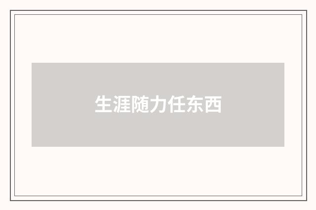 生涯随力任东西
