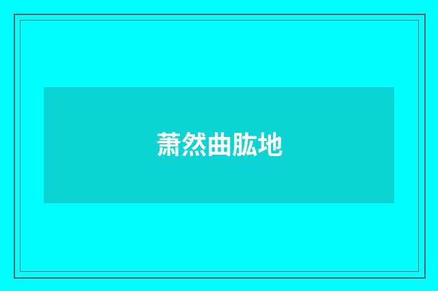 萧然曲肱地