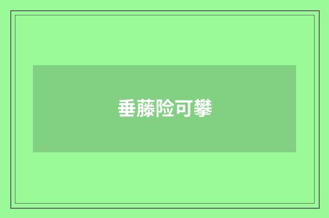 垂藤险可攀